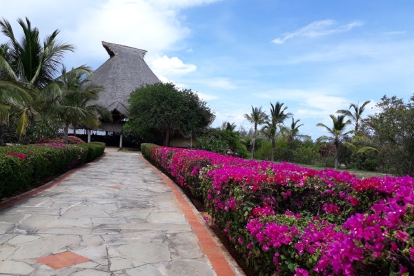 Hotel The ONE (Kilifi)